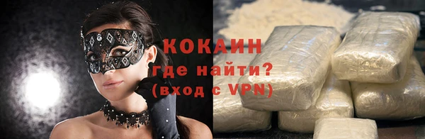 стаф Дмитров
