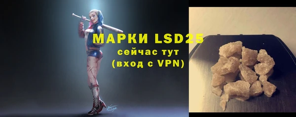 стаф Дмитров