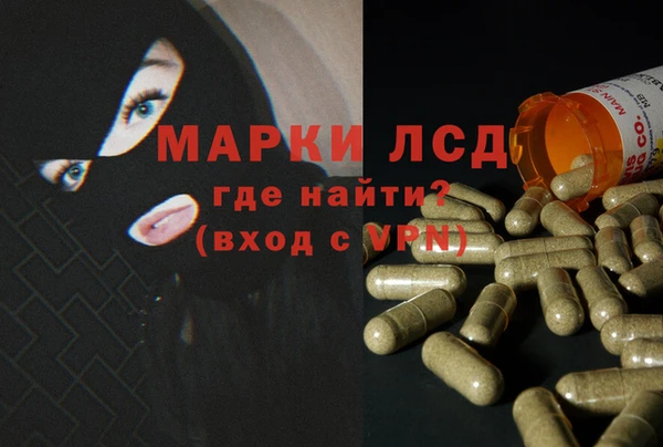 стаф Дмитров