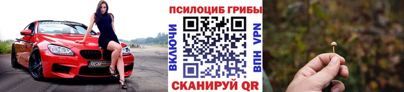Купить закладки  Инта  Галлюциногенные грибы GOLDEN TEACHER 